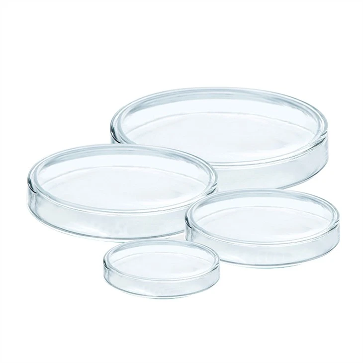 100mm Glass Petri Dish